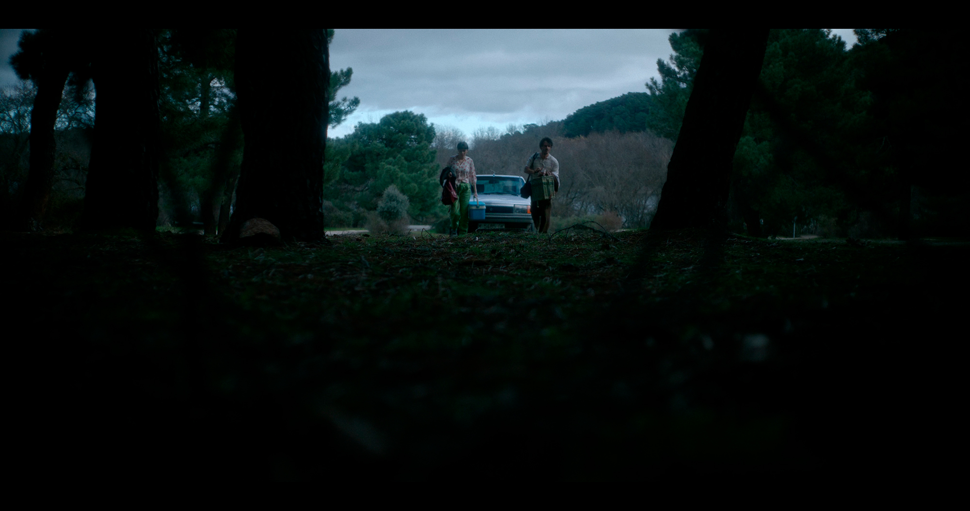 Fotograma de 'Hormiguilla'