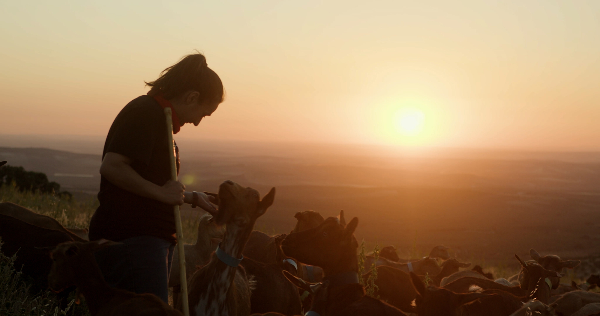 Fotograma 'Camino Roya'