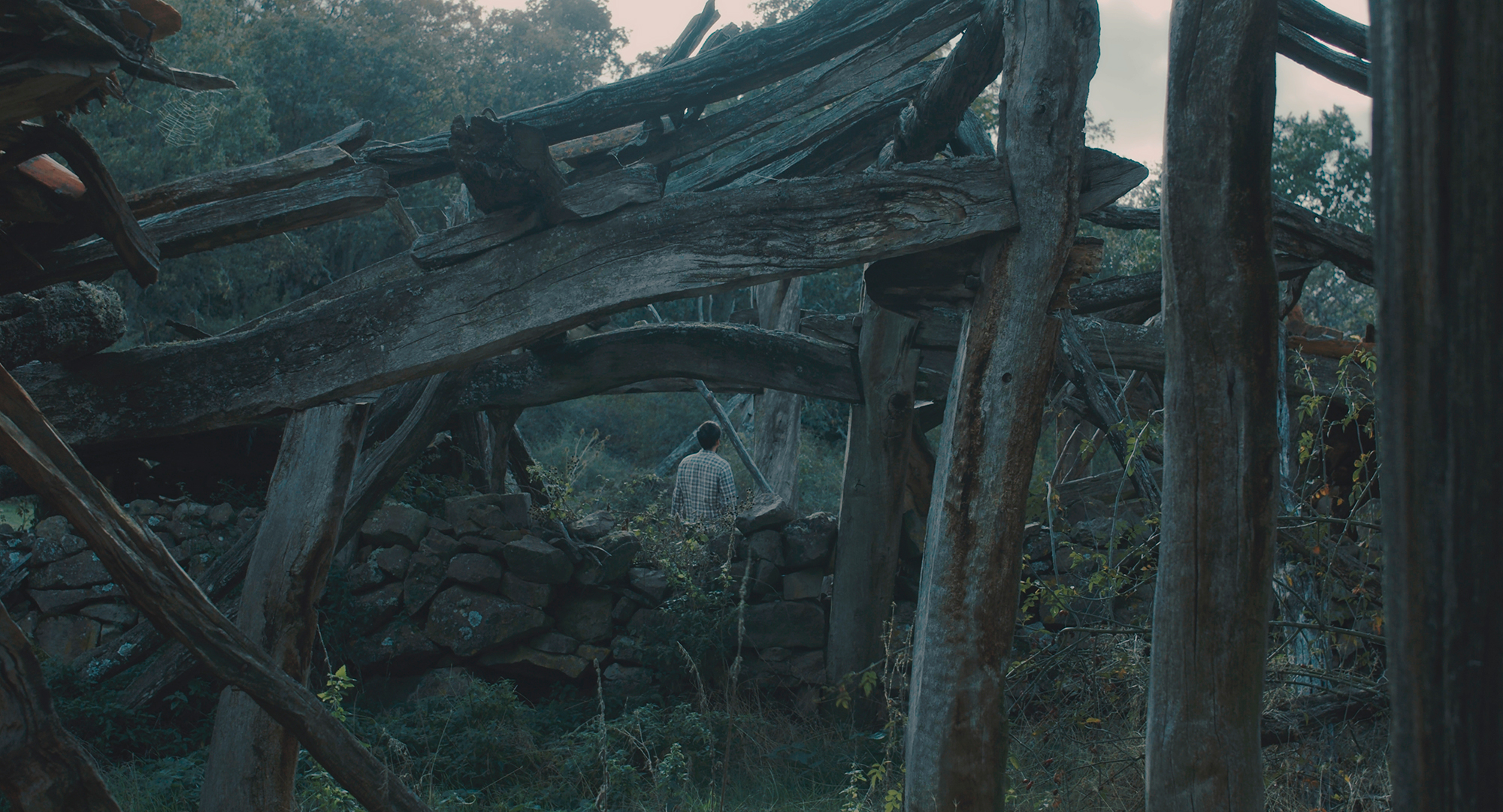 Fotograma de 'La generación de la regeneración'