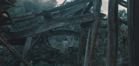 La generación de la regeneración entra en la Sección Oficial del 7º The Wild Cinema - Festival Internacional de Cinema de Medioambiente